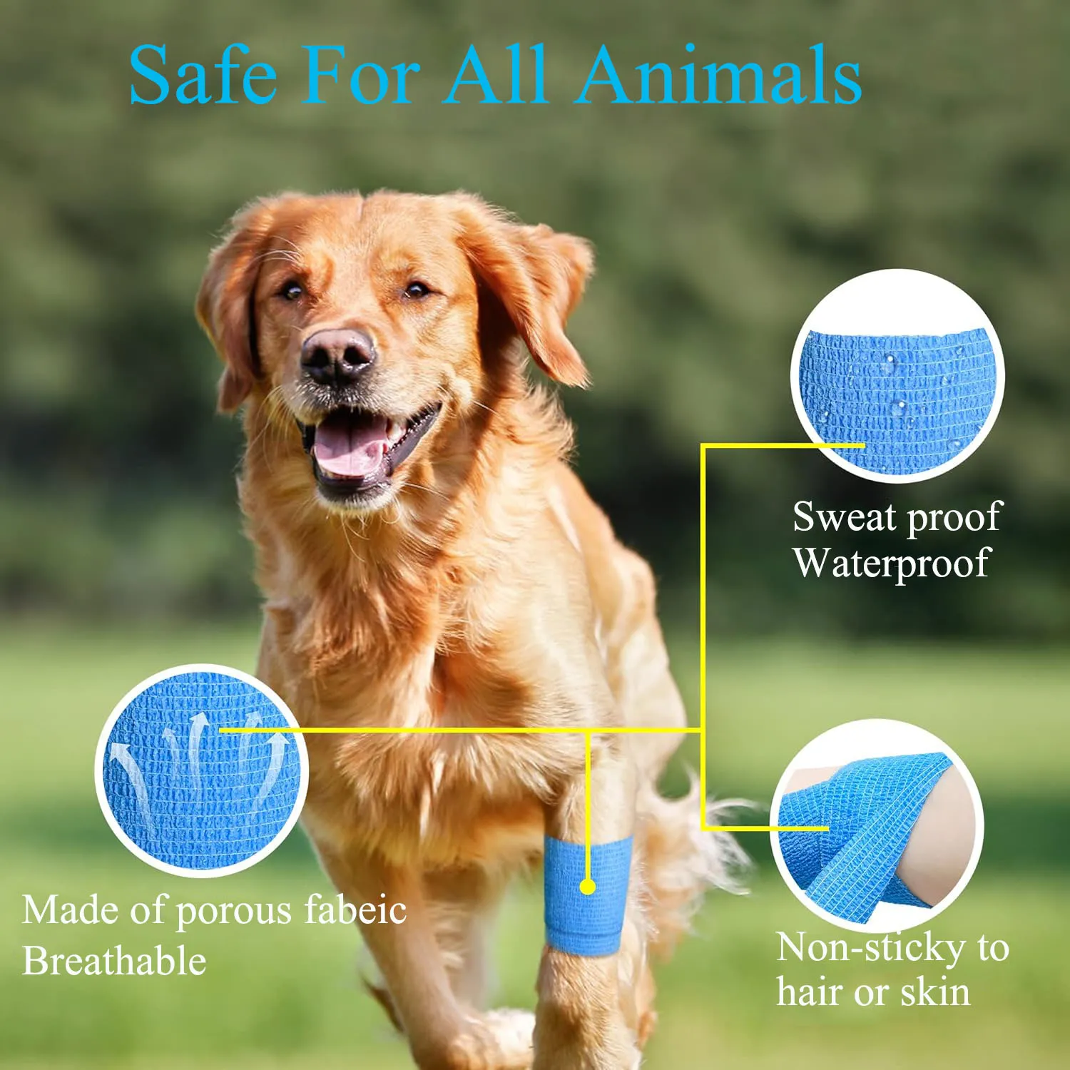 Applications of Elastic Self-Adhesive Bandage