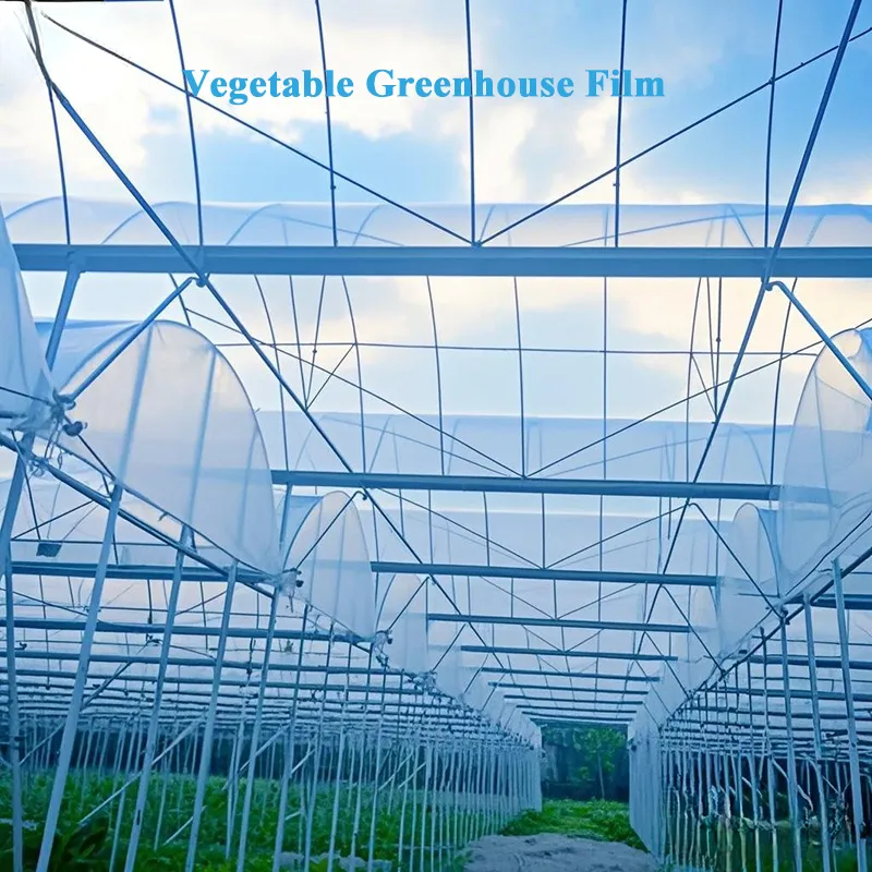 Applications of PE and POE Adhesive Film