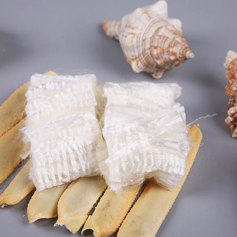 chitosan wound dressing products
