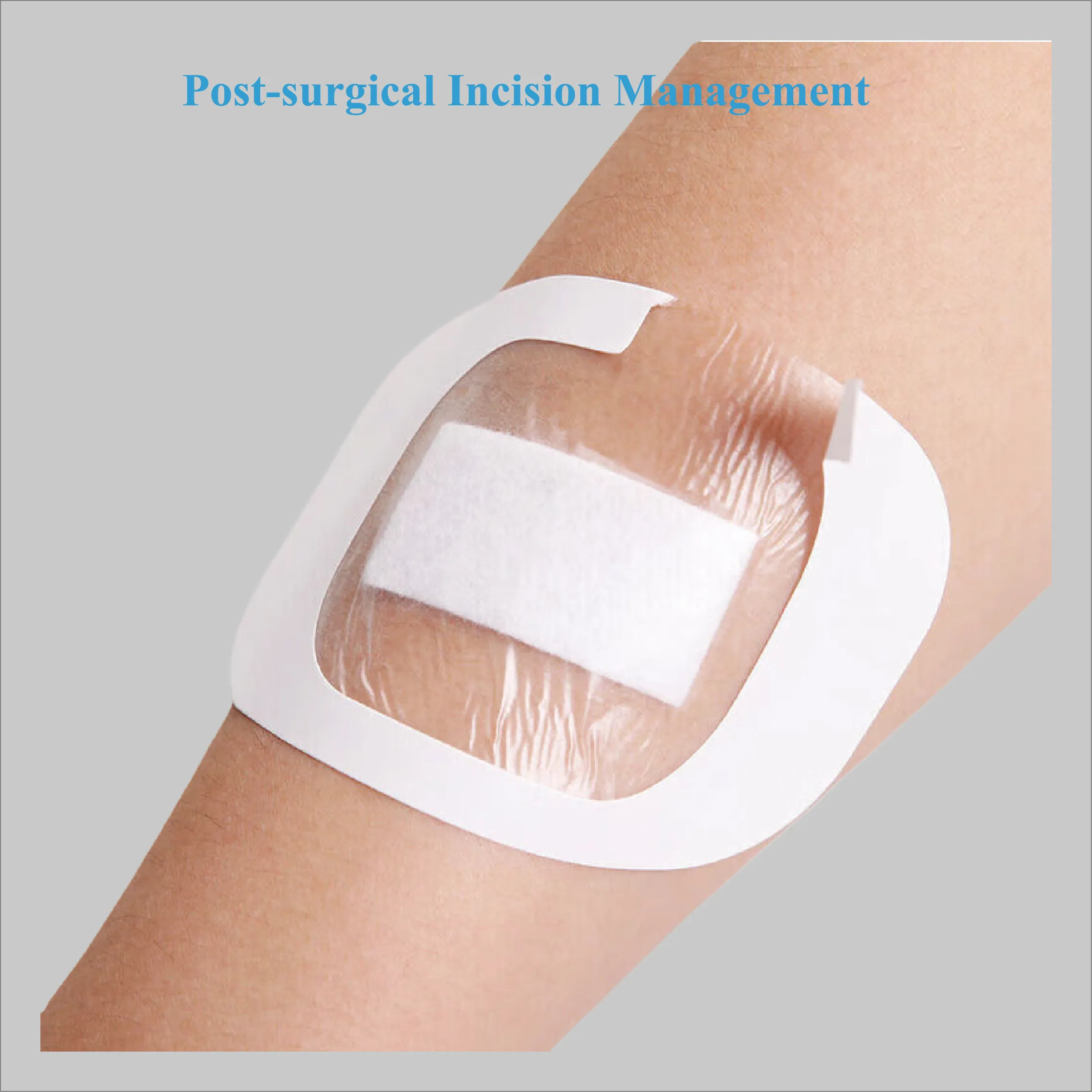 Applications of Seaweed Fiber Needle Punched Cotton