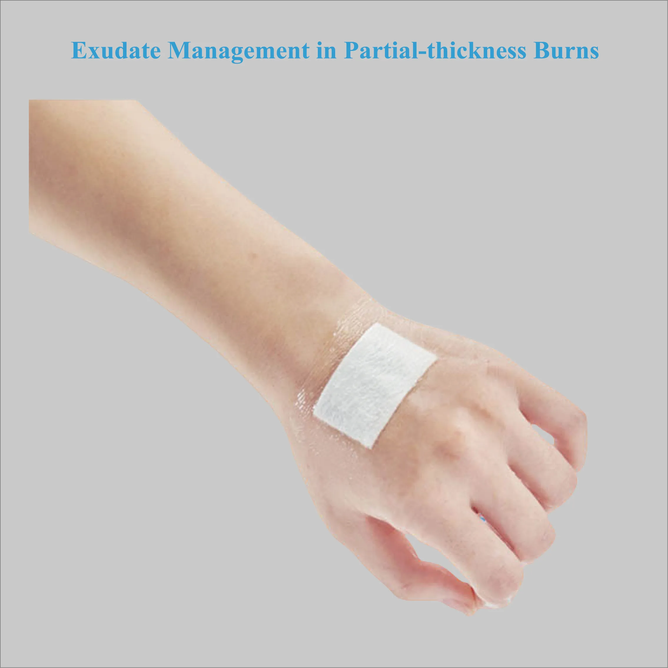 Applications of Seaweed Fiber Needle Punched Cotton